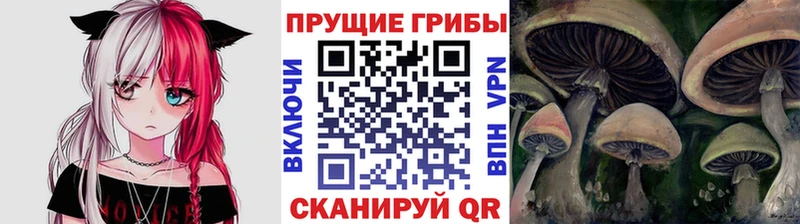 Псилоцибиновые грибы прущие грибы  Купить где  Емва 